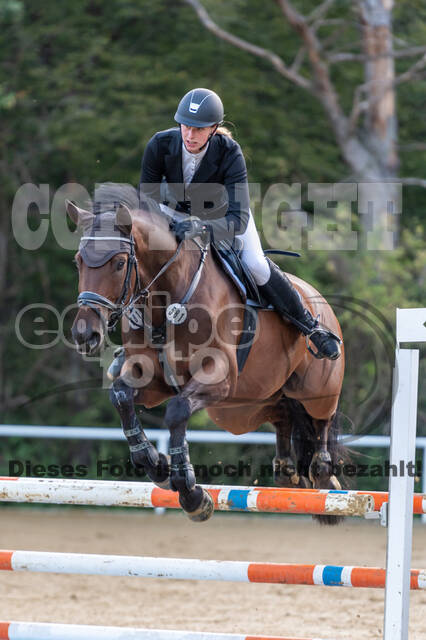 RFV Dinslaken-Hiesfeld (Herbstturnier)