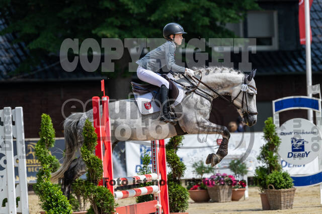 Goldene Schärpe 2021 - Ponys