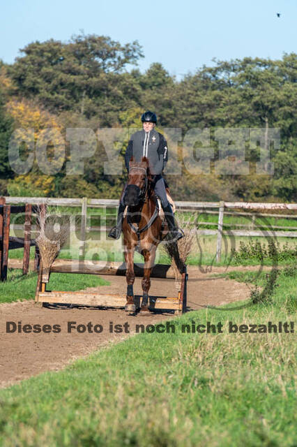 Vielseitigkeitslehrgang mit Jürg Kurbel (9.+10.11.2019)