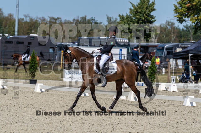 Kronenberg - De Peelbergen (August 2020)