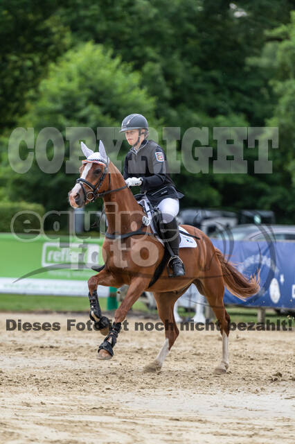 Goldene Schärpe 2021 - Ponys