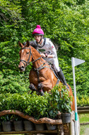 Westerstede Horse Trials 2021
