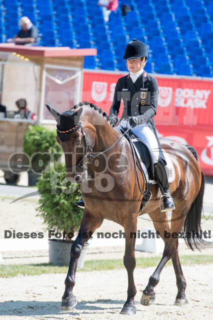 FEI European Championship Eventing 2017