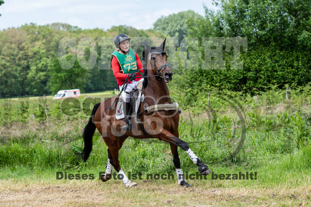 Westerstede Horse Trials (10.-13.06.2021)
