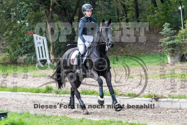 Goldene Schärpe 2020 - Pferde