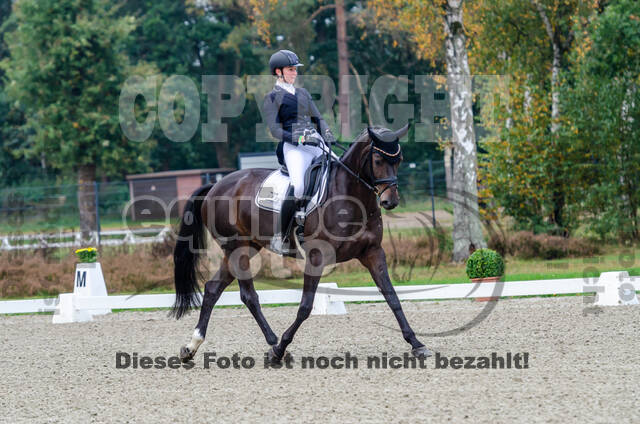 Deutsche Meisterschaft Vielseitigkeit (Luhmühlen)