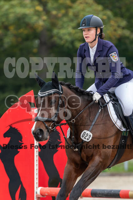 Goldene Schärpe 2020 - Pferde