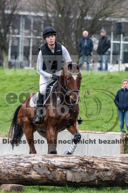 Goldene Schärpe 2020 - Pferde