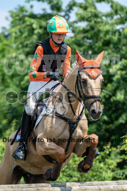 Goldene Schärpe 2021 - Ponys
