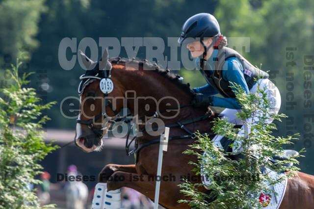 Goldene Schärpe 2021 - Ponys