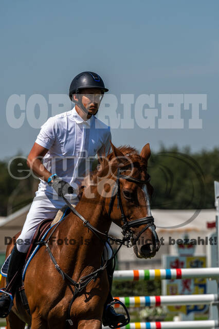 Kronenberg - De Peelbergen (August 2020)