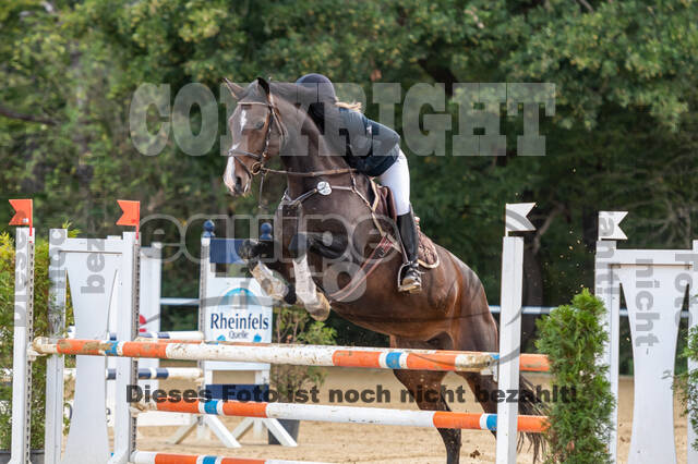 RFV Dinslaken-Hiesfeld (Herbstturnier)