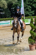 Goldene Schärpe 2021 - Ponys