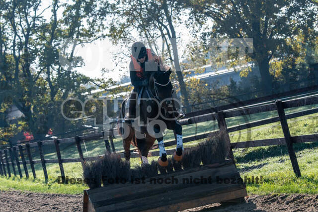 Vielseitigkeitslehrgang mit Jürg Kurbel (9.+10.11.2019)