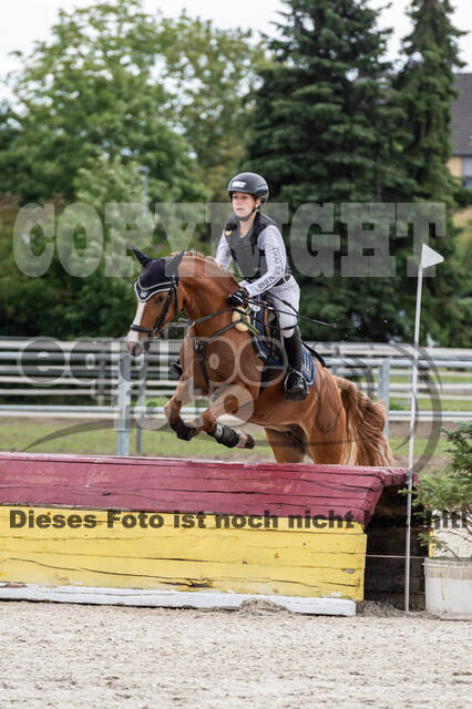 Late-Entry-Vielseitigkeit Langenfeld (06.+07.07.2020)