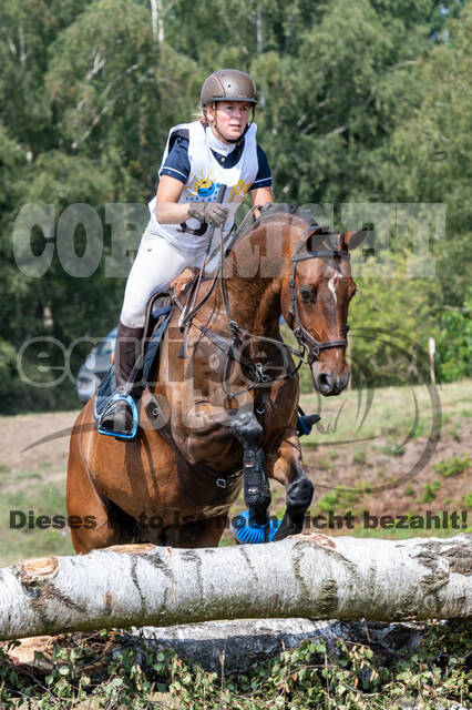 Late-Entry Vielseitigkeit Hamminkeln/Wesel (01.+02.08.2020)