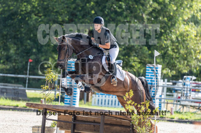 Late-Entry-Vielseitigkeit Langenfeld (11.+13./14.06.2020)