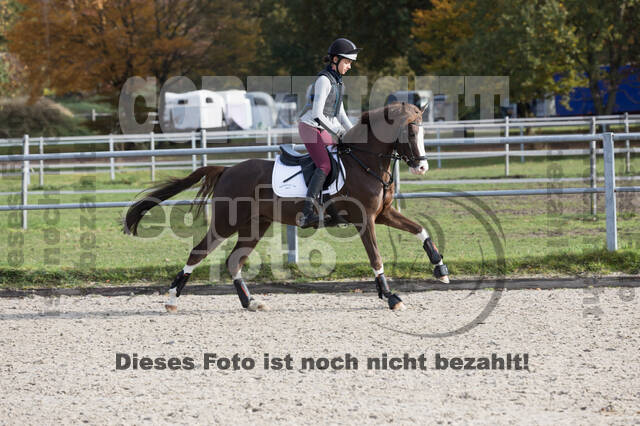IGV Lehrgang der Sieger der Cups mit Frank Ostholt