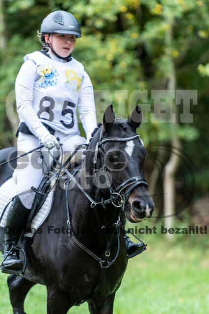 Vielseitigkeit RSV Wesel Obrighoven (26.+27.09.2020)