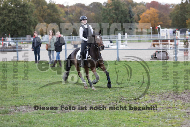 IGV Lehrgang der Sieger der Cups mit Frank Ostholt