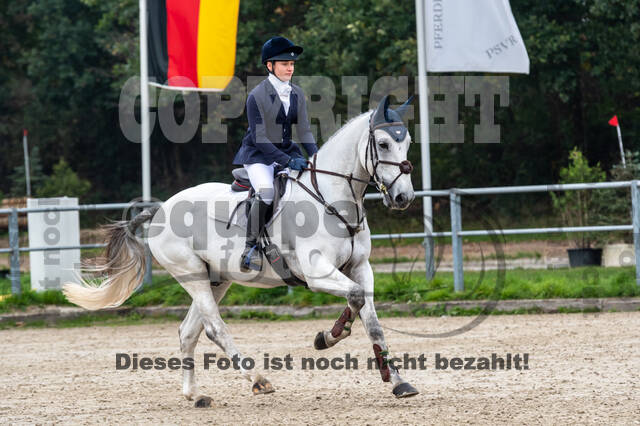 Goldene Schärpe 2020 - Pferde