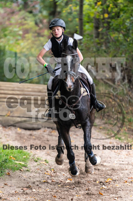 Goldene Schärpe 2020 - Pferde