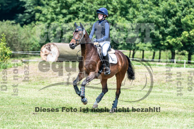 Goldene Schärpe 2021 - Ponys