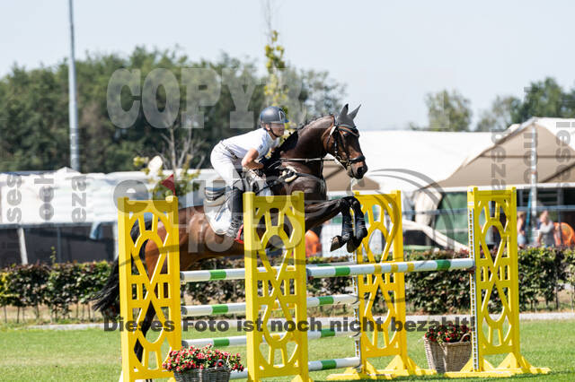 Kronenberg - De Peelbergen (August 2020)