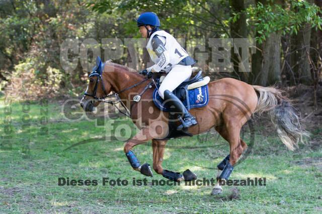 Vielseitigkeitsturnier RSV St. Hubertus Wesel Obrighoven