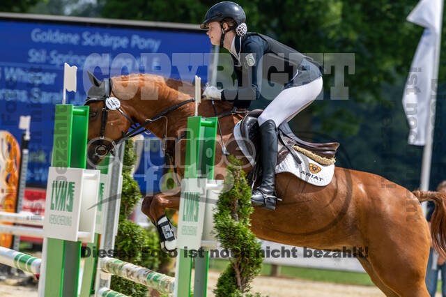 Goldene Schärpe 2021 - Ponys