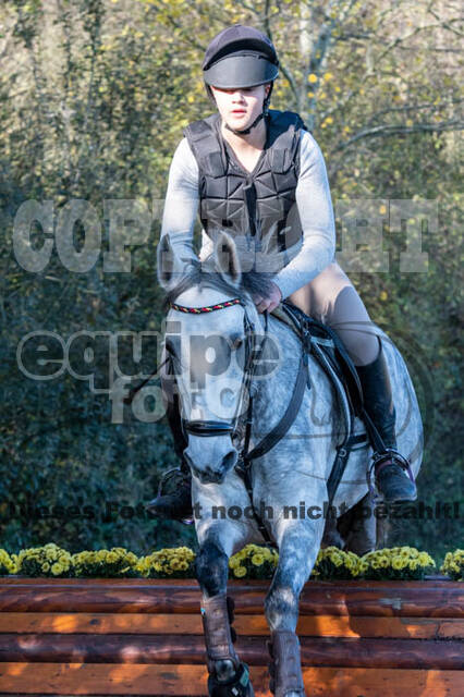 Vielseitigkeitslehrgang mit Jürg Kurbel (9.+10.11.2019)