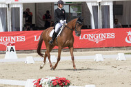 FEI European Championship Eventing 2017
