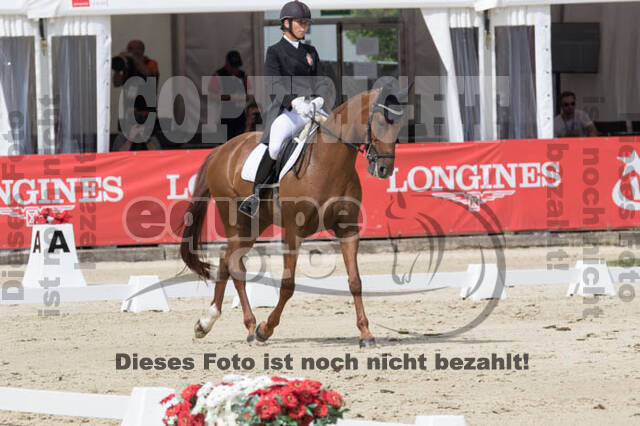 FEI European Championship Eventing 2017