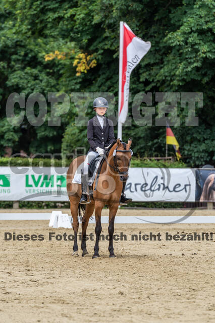 Goldene Schärpe 2021 - Ponys