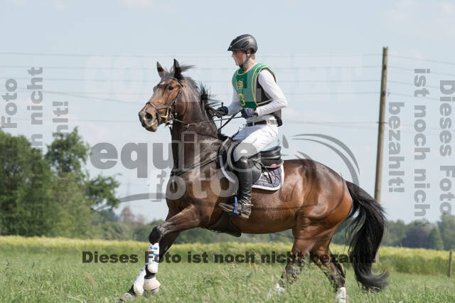 Vielseitigkeitsturnier ZRuFV von Lützow Hamminkeln