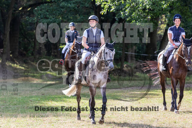 Late-Entry Vielseitigkeit Hamminkeln/Wesel (01.+02.08.2020)