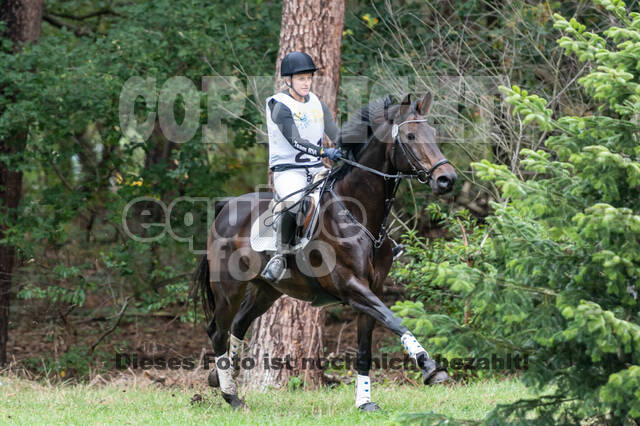 Vielseitigkeit RSV Wesel Obrighoven (26.+27.09.2020)