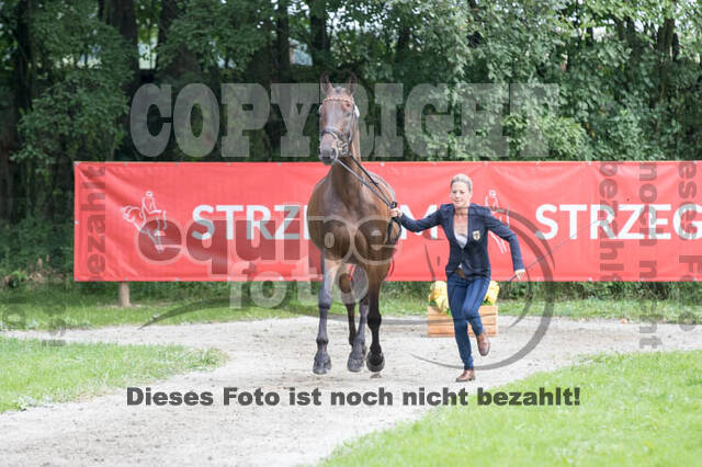 FEI European Championship Eventing 2017