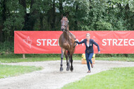 FEI European Championship Eventing 2017