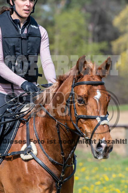 Geländetraining ZRFV Hamminkeln (24+25.04.2021)