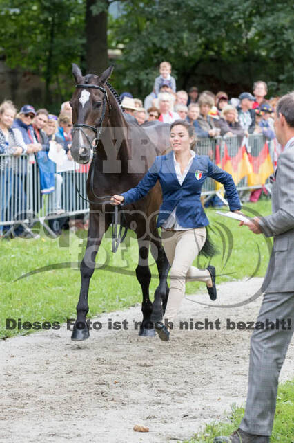 FEI European Championship