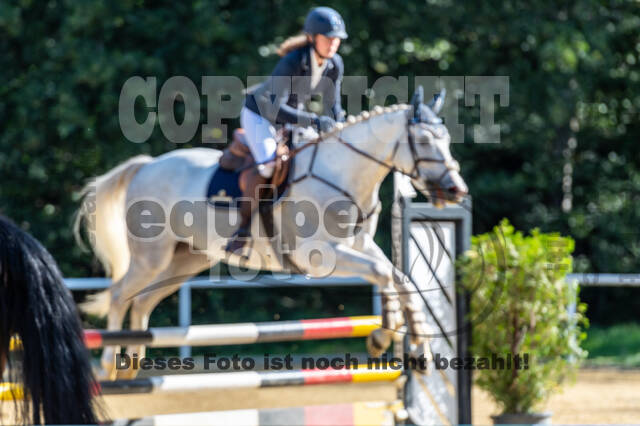 RFV Dinslaken-Hiesfeld (Herbstturnier)