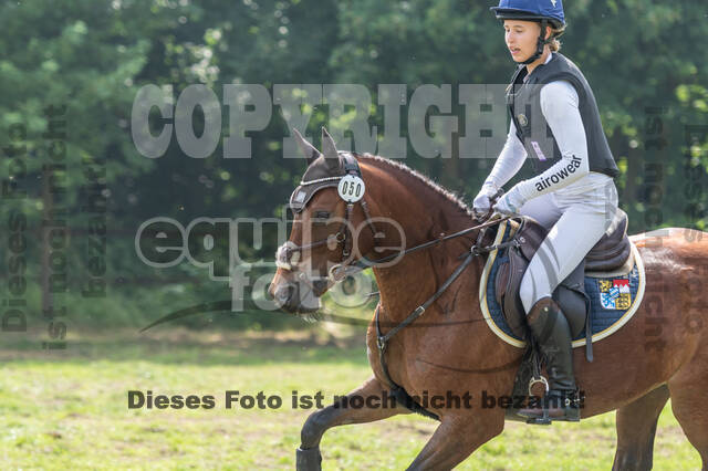 Goldene Schärpe 2021 - Ponys