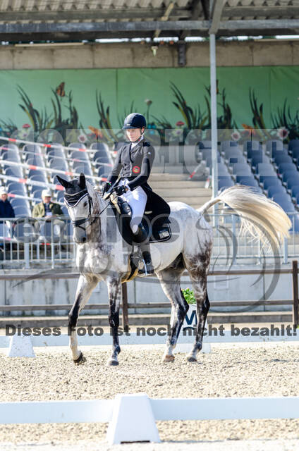 Deutsche Meisterschaft Vielseitigkeit (Luhmühlen)
