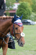 Sterne über Münster 2019 - CCI***S
