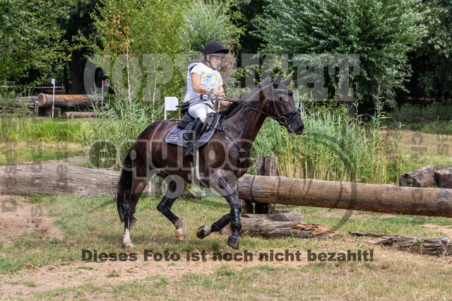Late-Entry Vielseitigkeit Hamminkeln/Wesel (01.+02.08.2020)