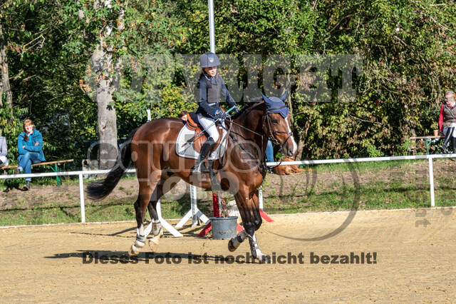 RFV Dinslaken-Hiesfeld (Herbstturnier)