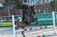 IGV Lehrgang der Sieger der Cups mit Frank Ostholt