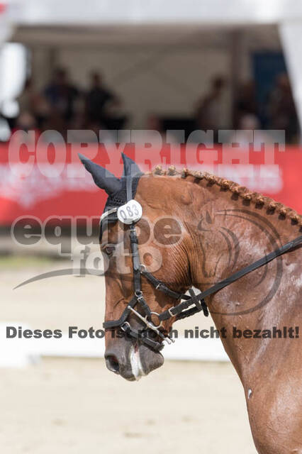 FEI European Championship Eventing 2017