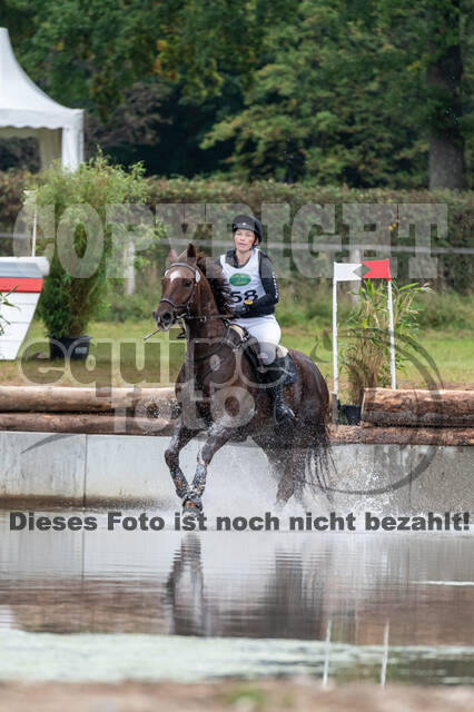 Deutsche Meisterschaft Vielseitigkeit (Luhmühlen)